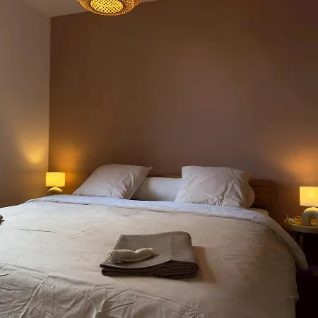 French Loft - & Comfy 公寓 阿讷西