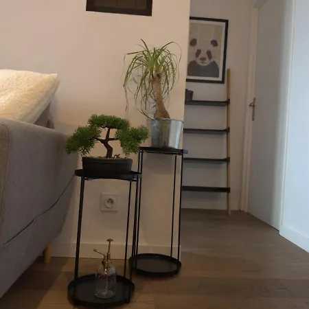 French Loft - & Comfy * آنسي